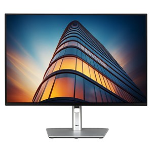 Dell P2425DE