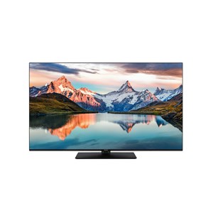 Panasonic TB-65W61AEZ schwarz