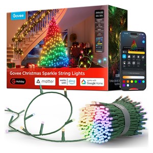 Govee LED Christmas Light 20m