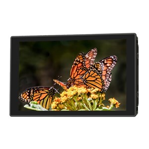 Portkeys HD7T Monitor