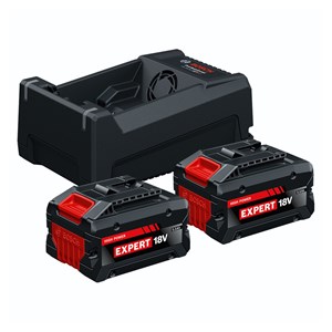 Bosch Starter-Set 2x EXBA18V-55 GAL12V /18V-80