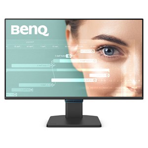 BenQ BL2490C 24" monitor
