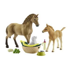 Schleich Horse Club        42432 Sarahs Cub Care Kit