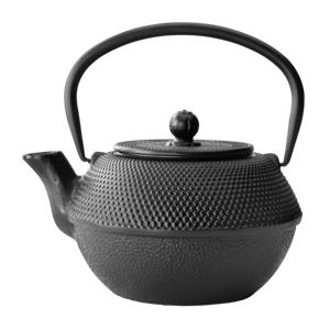 Bredemeijer Teapot Jang 1,1l Gusseisen black + Filter G002Z