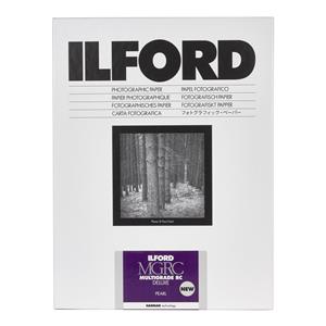 1x 10 Ilford MG RC DL 44M  24x30