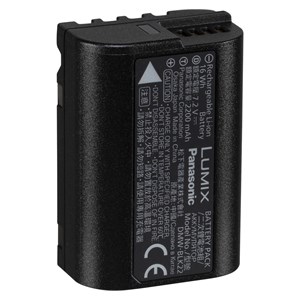 Panasonic DMW-BLK22E