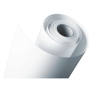 1x2 Epson SureLab Pro-S Paper BP Luster 203 mm x 65 m 254 g