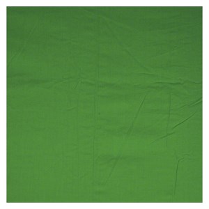 Walimex Cloth Background green 2,85x6m