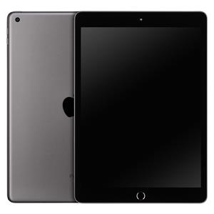 Apple 10.2inch iPad Wi-Fi 64GB Space Grey      MK2K3FD/A