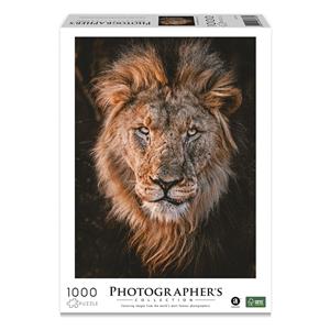 Ambassador Lion Head 1000 Pieces (Donal Boyd)