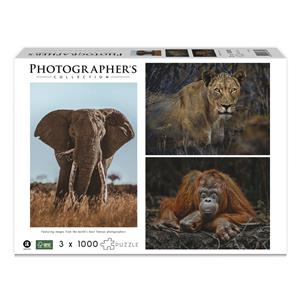 Ambassador Wildlife Eye Contact 3x 1000 Pieces (Donal Boyd)