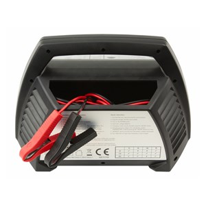 Ansmann ALCT6-24 /10 Car Battery Charger