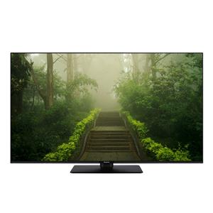 Panasonic TB-55W60AEZ black