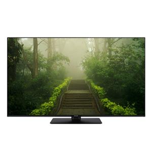 Panasonic TB-43W60AEZ black