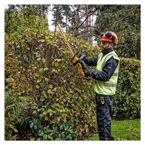 18V XR Brushless Hedge Trimmer 55cm, Carton 6