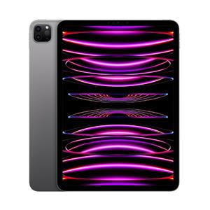 Apple iPad Pro 12,9" Wi-Fi 1TB MNXW3FD/A (2022) sivi