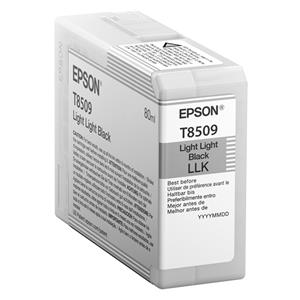 "Epson C13T850900 light black"