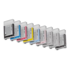 "Epson C13T603700 light black HC"