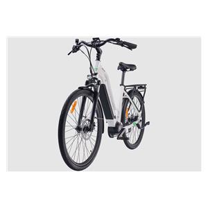 MS ENERGY eBike c100 električni bicikl 3