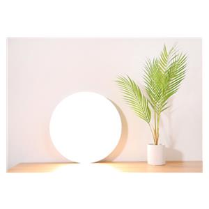 XIAOMI Mi Smart LED Ceiling Light- stropno svijetlo 2