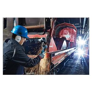 Bosch GWS 19-125 CI kutna brusilica, karton 2