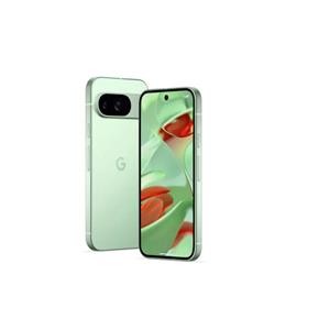 Google Pixel 9 (256GB) wintergreen