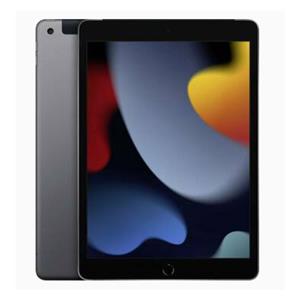 Apple iPad 10.2" Wi-Fi 256GB MK2N3FD/A (2021) sivi