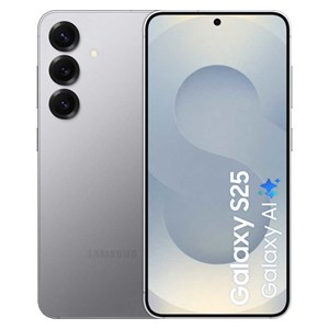 Samsung Galaxy S25 Dual Sim 12GB RAM 128GB Silver Enterprise Edition EU
