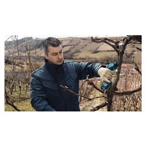 Bosch Pro Pruner šare za orezivanje SOLO alat -06019K1020- 5