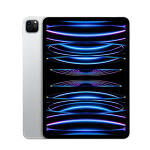 Apple iPad Pro 11" Wi-Fi+ Cellular 2TB  MNYM3FD/A (2022) srebrni