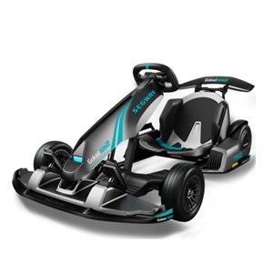 Segway Gokart PRO 2
