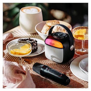 Adler AD 1199 black Karaoke speaker with microphone - SD /USB /AUX /Bluetooth
