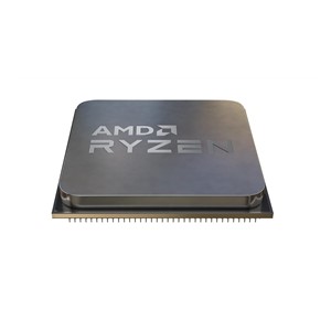 AMD Ryzen 5 5500 processor 3.6 GHz 16 MB L3 Tray