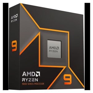 AMD Ryzen 9 9900X AM5 processor