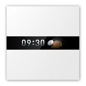 Aqara Display Switch V1