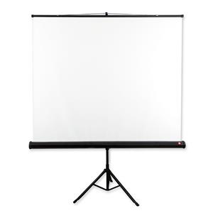 Avtek Tripod Standart 175 projection screen 1:1