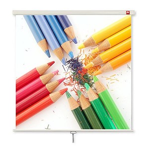 Avtek Wall Standard 175 projection screen 1:1