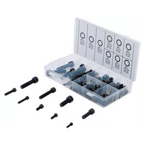 BGS Asortiman cilindričnih vijaka | unutarnji šesterokut | 106-dijelni