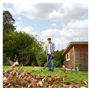 Black & Decker BEBLV301-QS leaf blower 3000 W