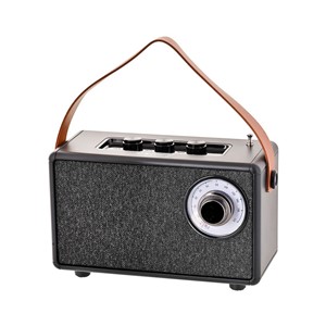 Bluetooth speaker Camry CR 1902B