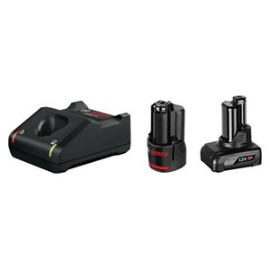 Bosch 1 x GBA 12V 2.0Ah + 1 x GBA 12V 4.0Ah + GAL 12V-40 Professional battery charger Household battery AC