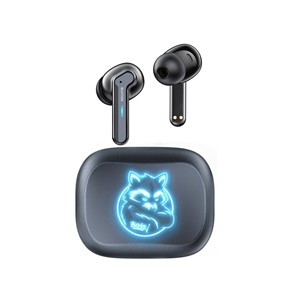 Buxton BTW 8200 Racoon - In-ear wireless earphones with charging case, white