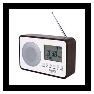 Camry digital radio