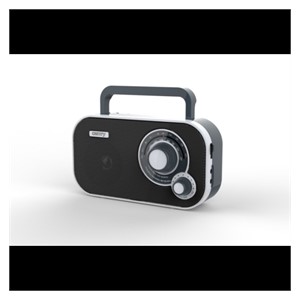 Camry portable radio black