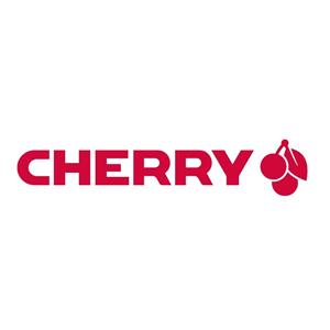 CHERRY B.UNLIMITED 3.0 - tastatur og m