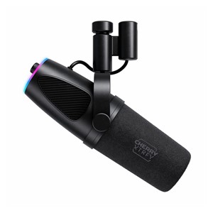 CHERRY NGALE X Black Podcast microphone