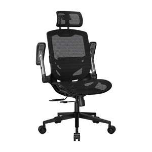 COUGAR Gaming /Office Chair Speeder One, Mesh, Black