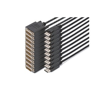 Digitus DisplayPort – DVI Adapter Cable, Pack of 10 pcs