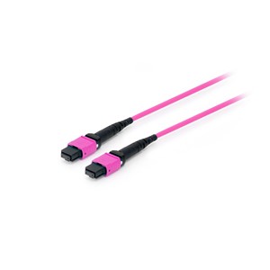 Equip 25555317 InfiniBand /fibre optic cable 3 m MTP Violet