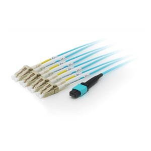 Equip MTP /MTP Trunk Fiber Optic Patch Cable, OM4, 3m